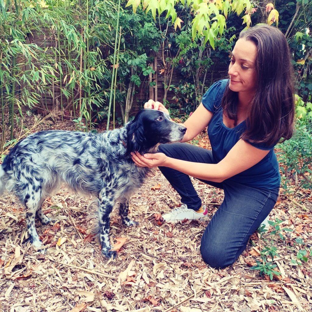 Shiatsu pour chien avec Claire lesage à Balma