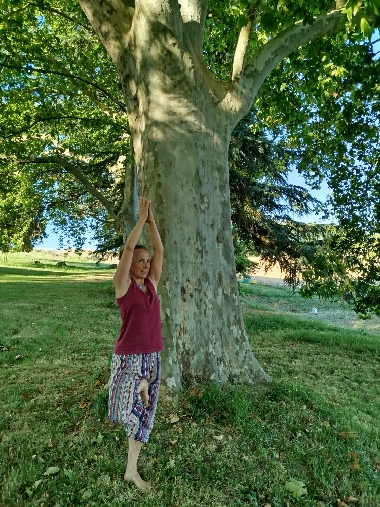 Laurence le blevec Cours yoga Balma