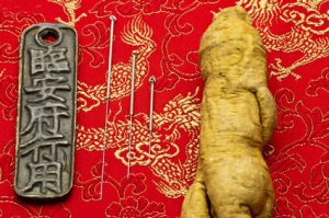 Patrice Bramonte Médecine Chinoise Acupuncteur à Balma