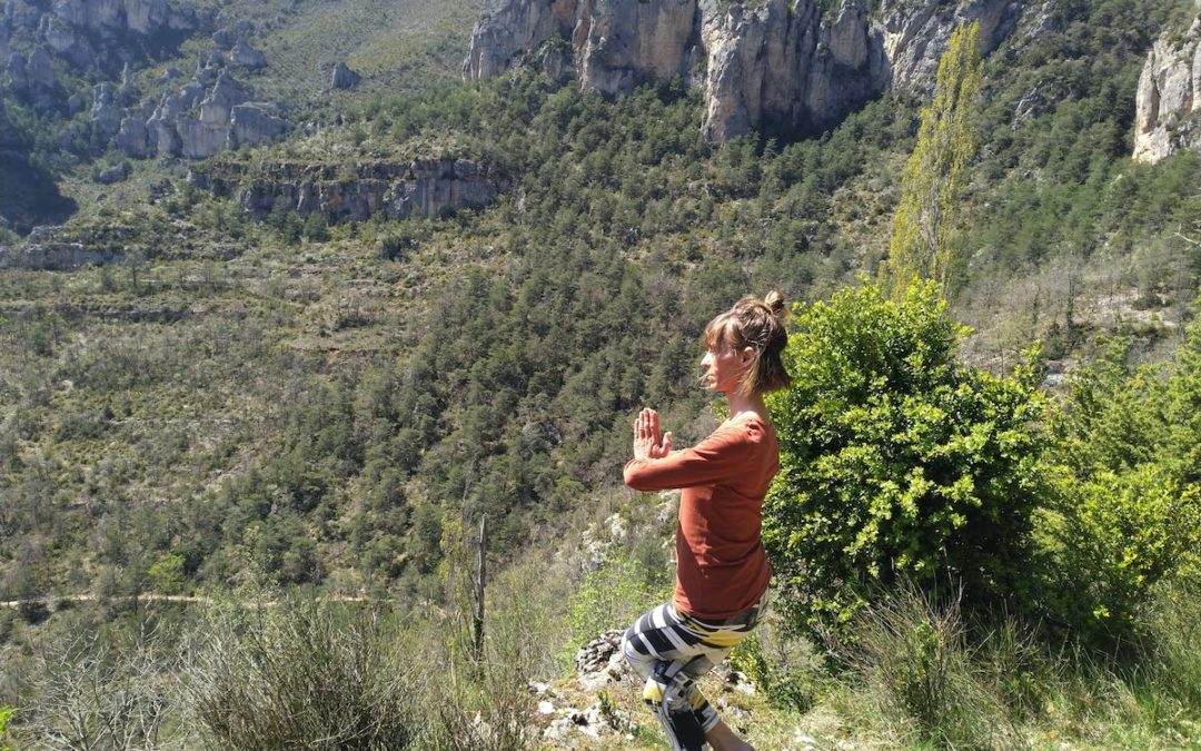 Natha Yoga, Yoga du Nord de l’Inde