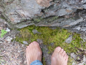 LAURENCE LE BLEVEC COURS DE YOGA À BALMA TOULOUSE LASBORDES